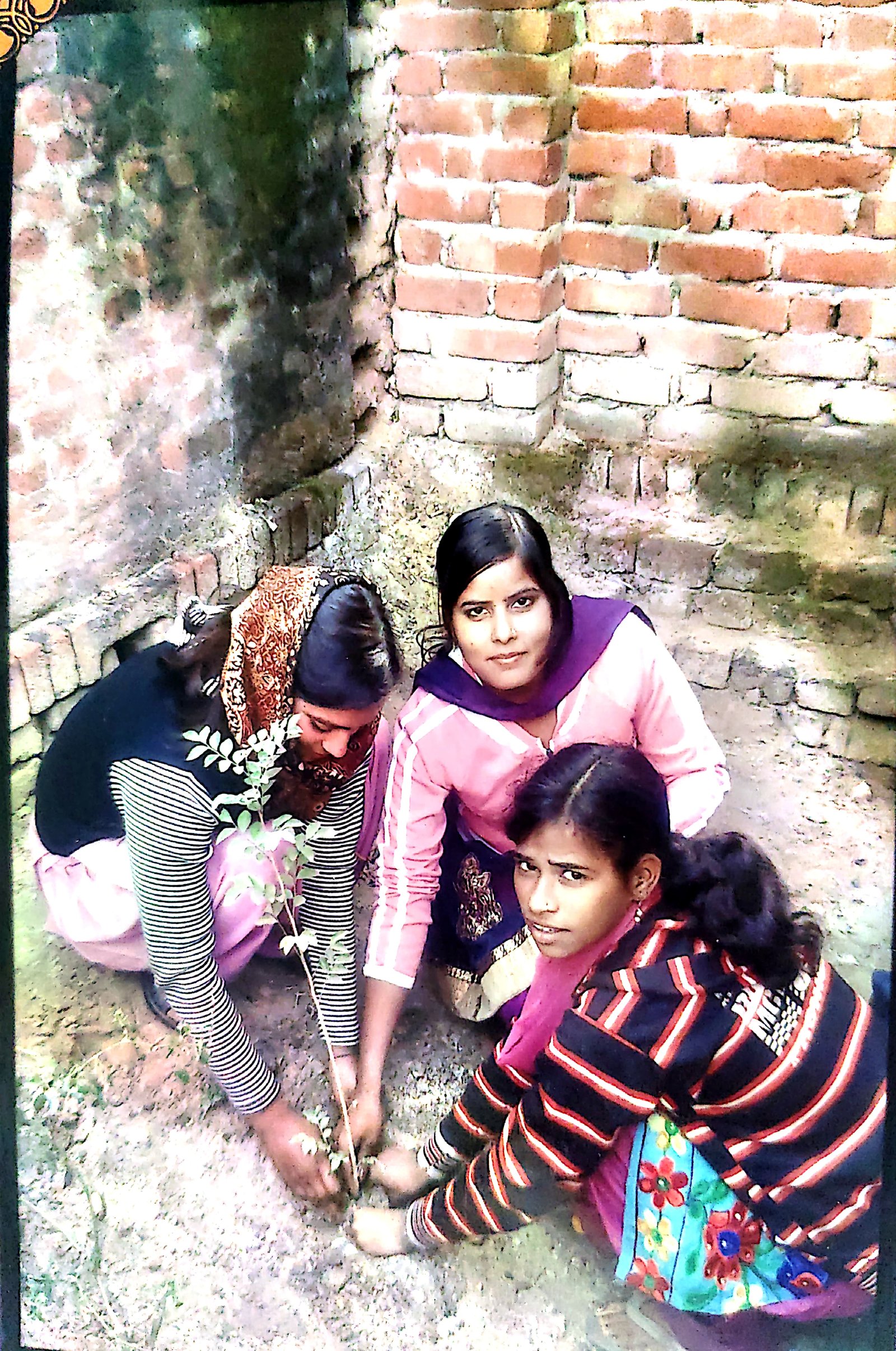 Environmental Awareness Programme — photograph 10